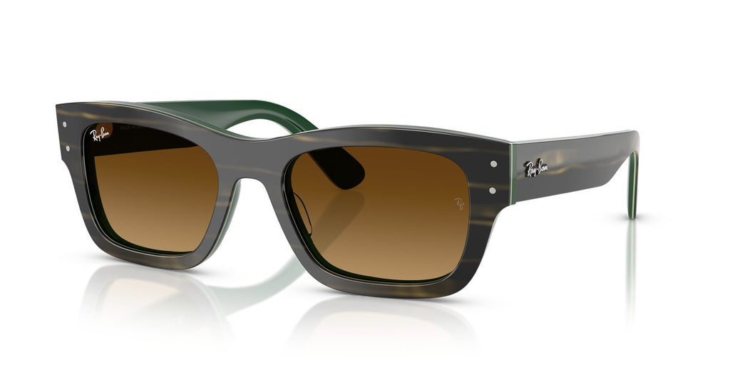 Ray-Ban | 0RB7683S
