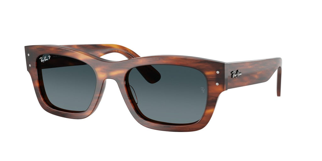 Ray-Ban | 0RB7683S