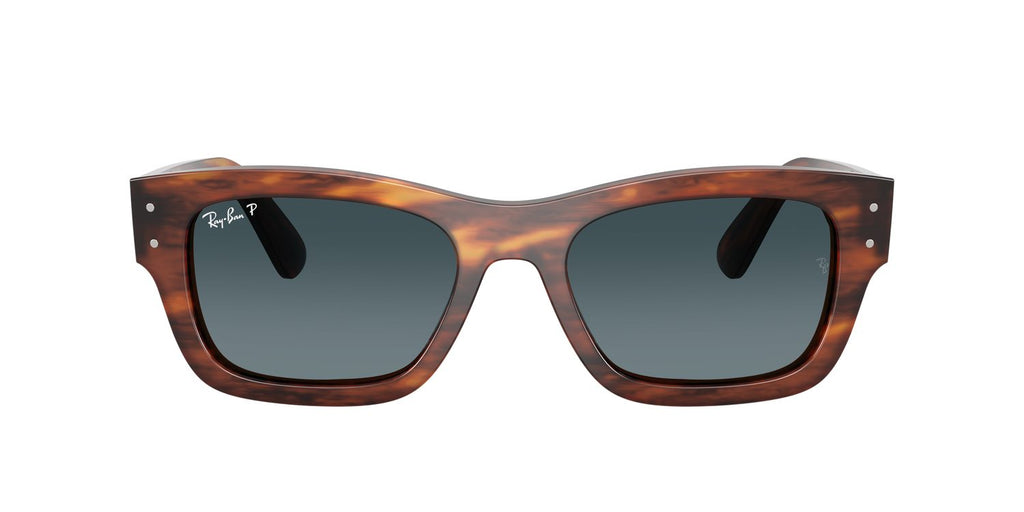 Ray-Ban | 0RB7683S