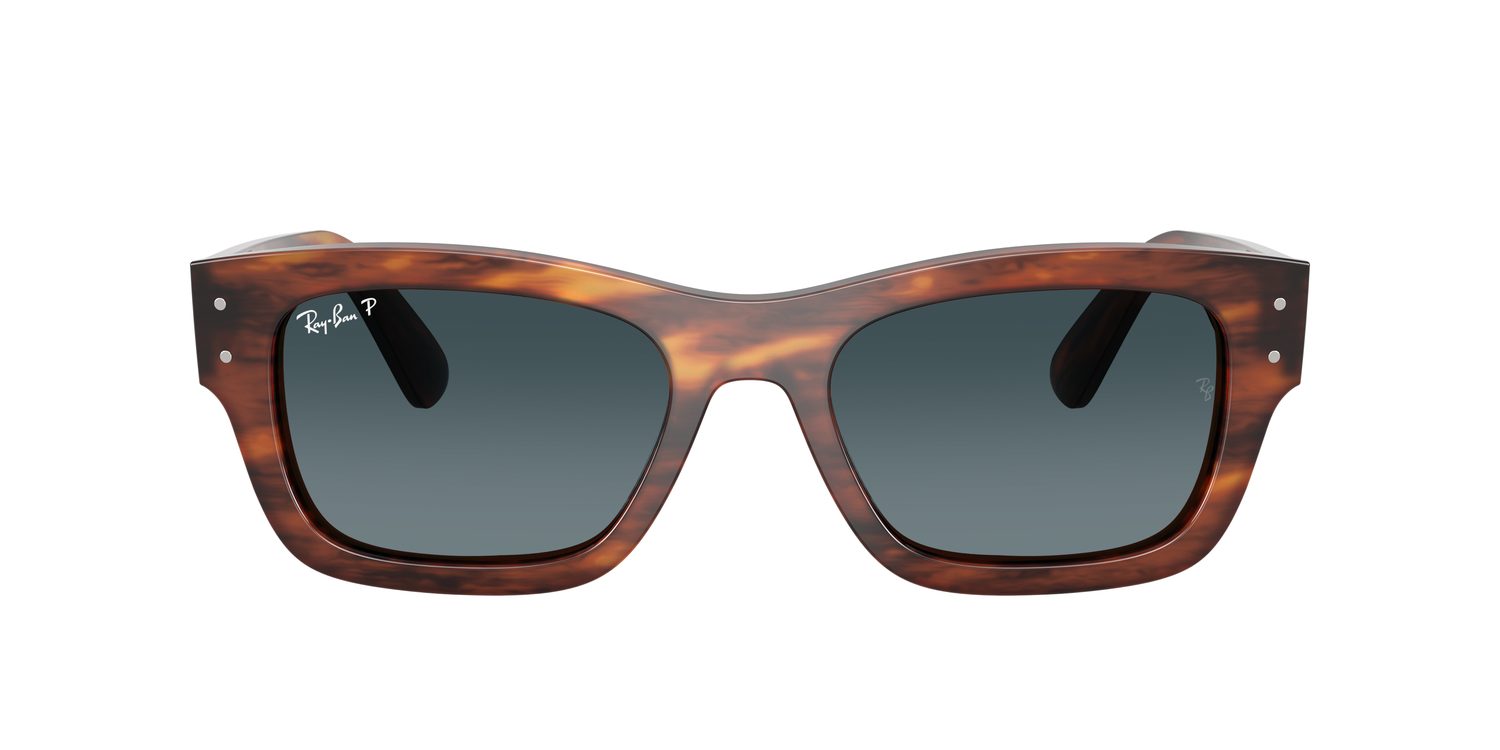 Ray-Ban | 0RB7683S