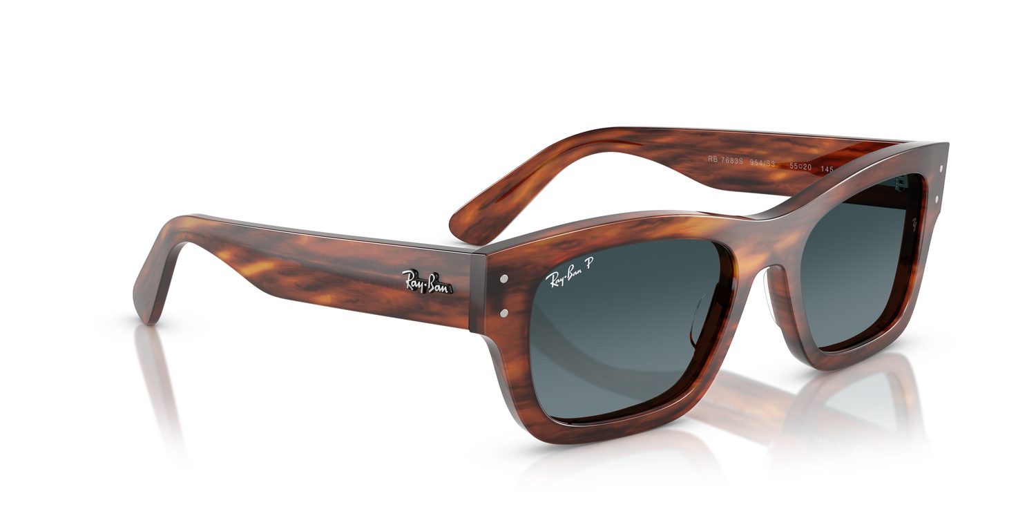 Ray-Ban | 0RB7683S