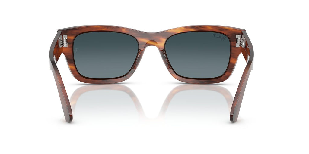 Ray-Ban | 0RB7683S