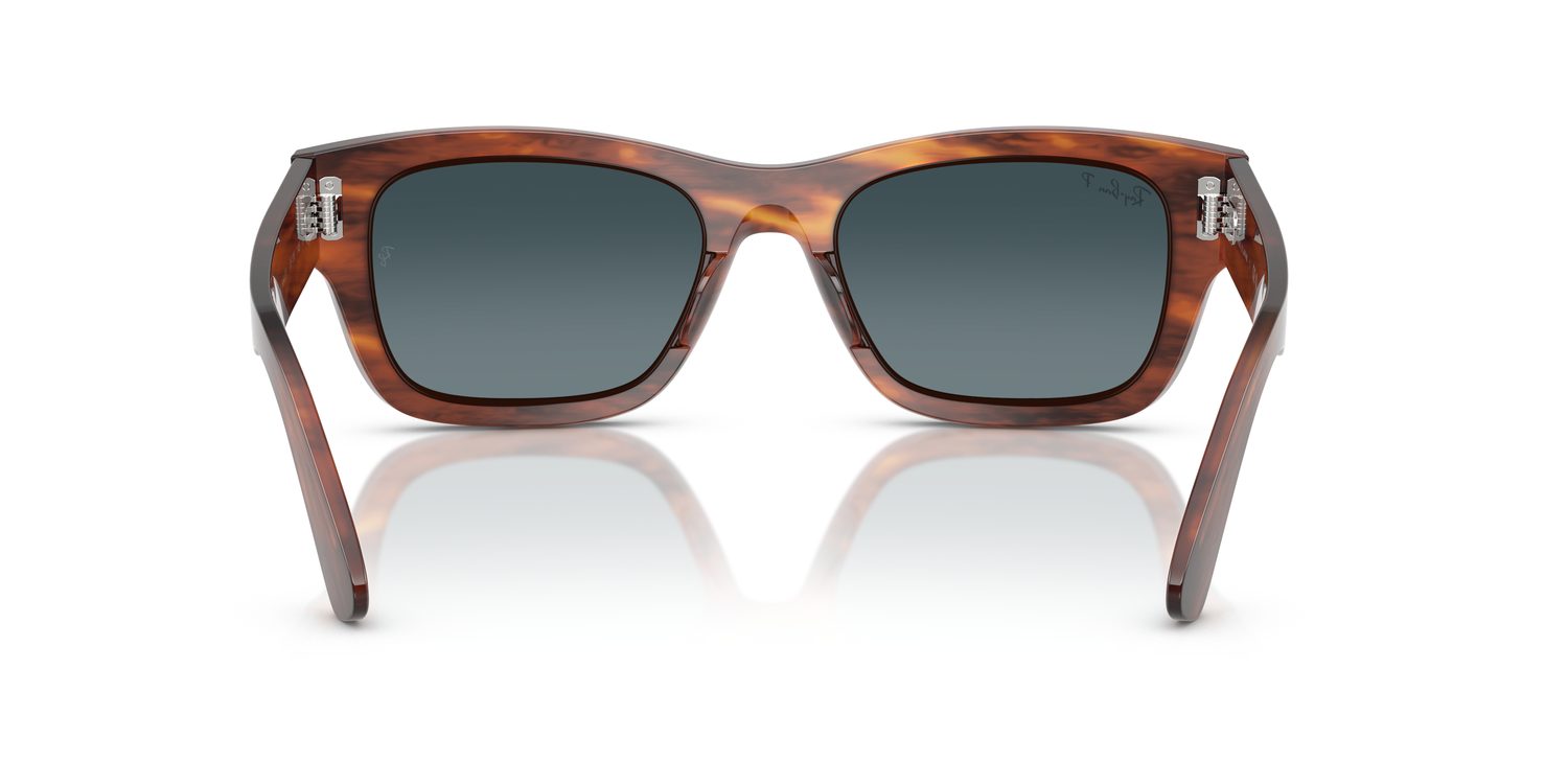 Ray-Ban | 0RB7683S