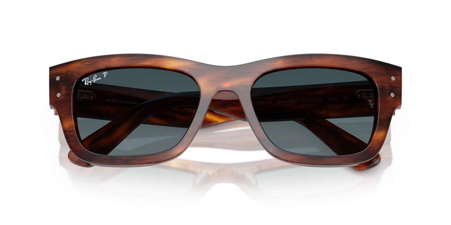 Ray-Ban | 0RB7683S