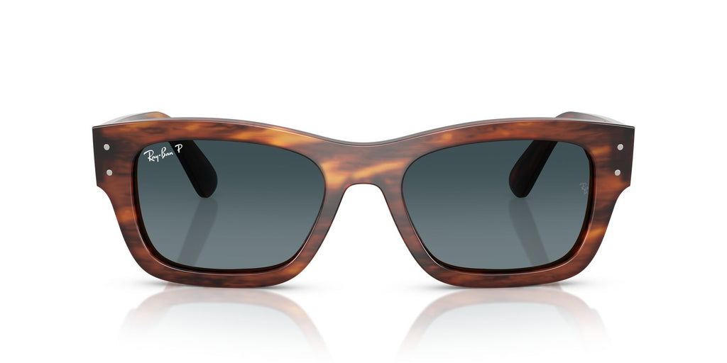 Ray-Ban | 0RB7683S