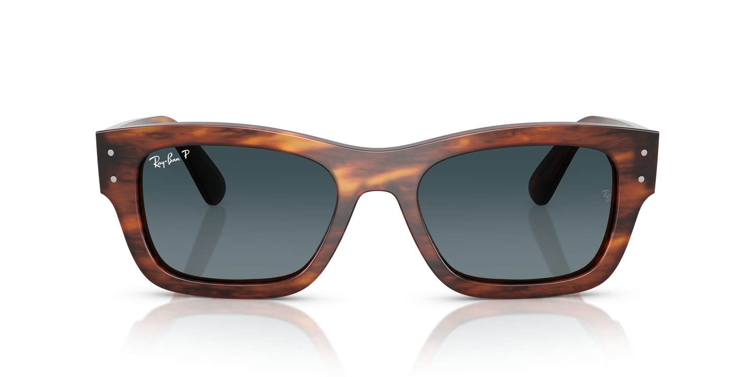 Ray-Ban | 0RB7683S