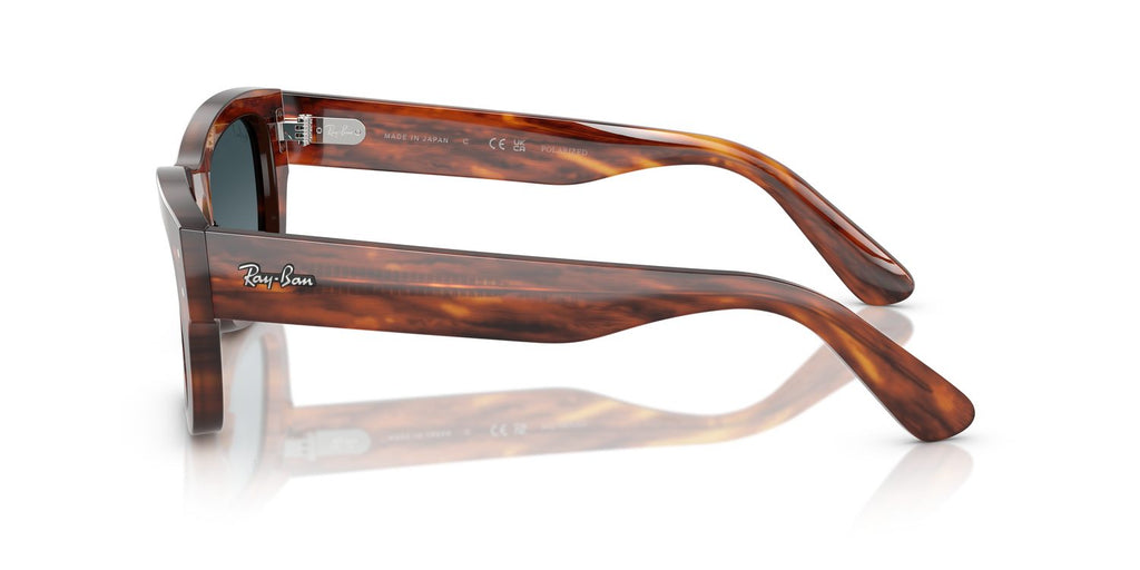 Ray-Ban | 0RB7683S