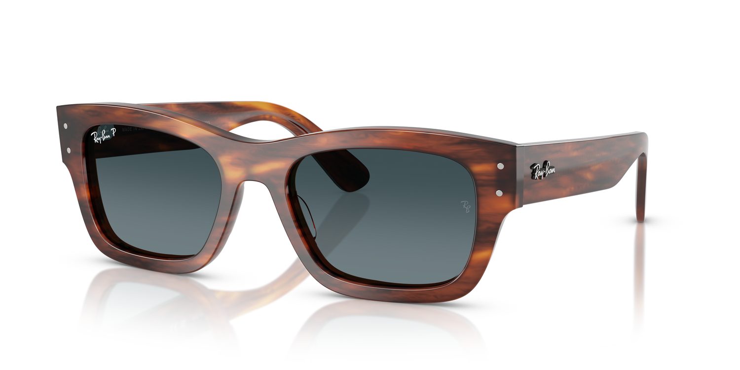 Ray-Ban | 0RB7683S