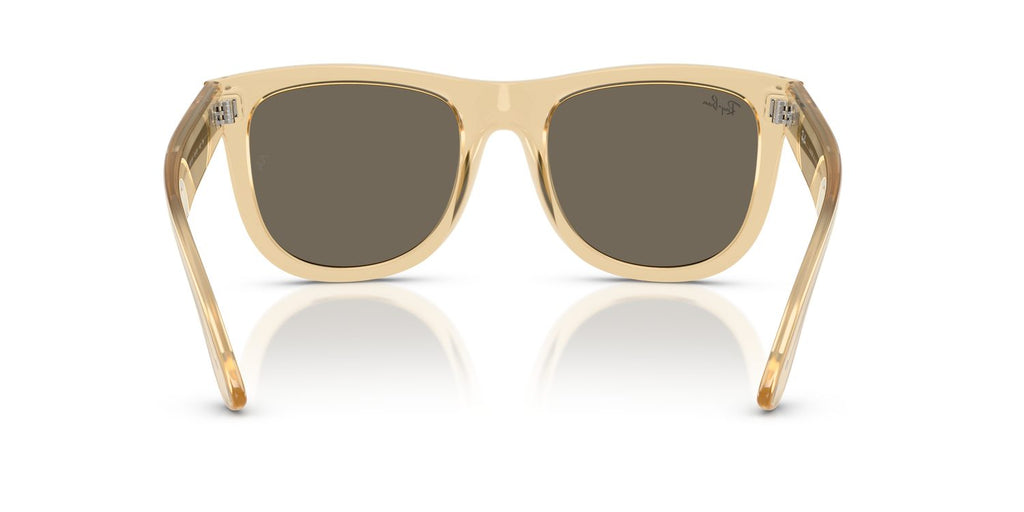 Ray-Ban | 0RBR0502S