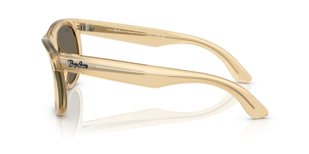 Ray-Ban | 0RBR0502S