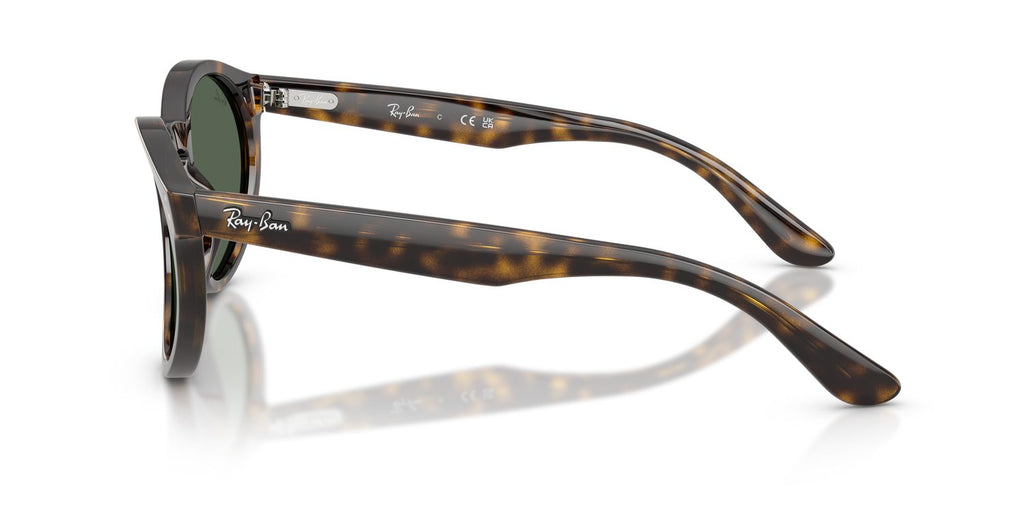 Ray-Ban | 0RBR0505S