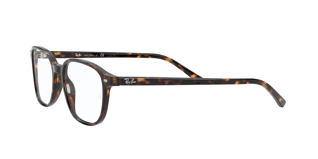 Ray-Ban | 0RX5393 (Leonard)