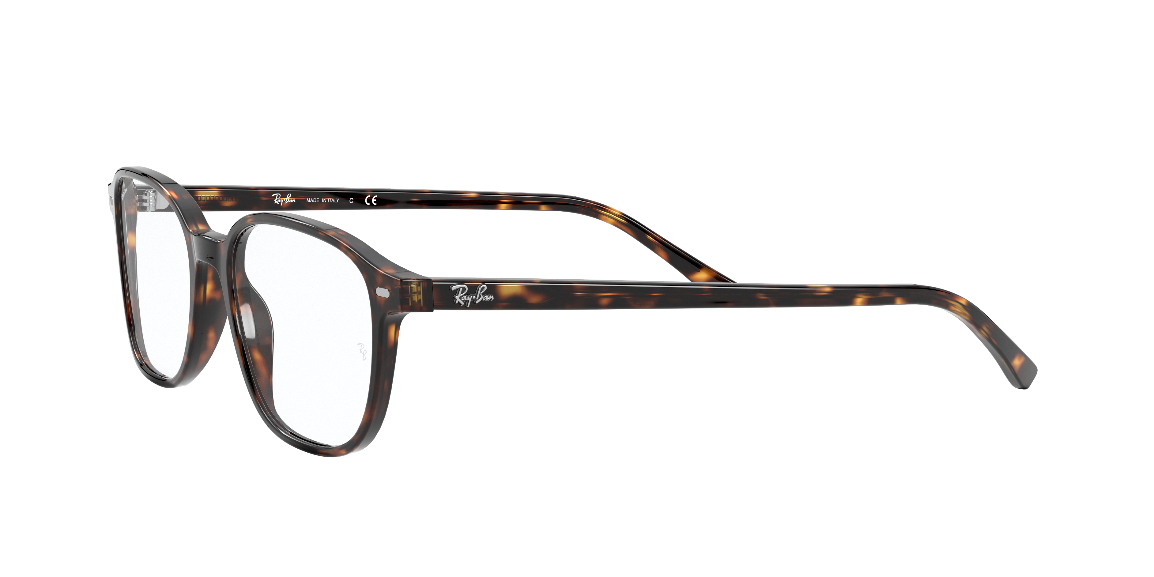 Ray-Ban | 0RX5393 (Leonard)