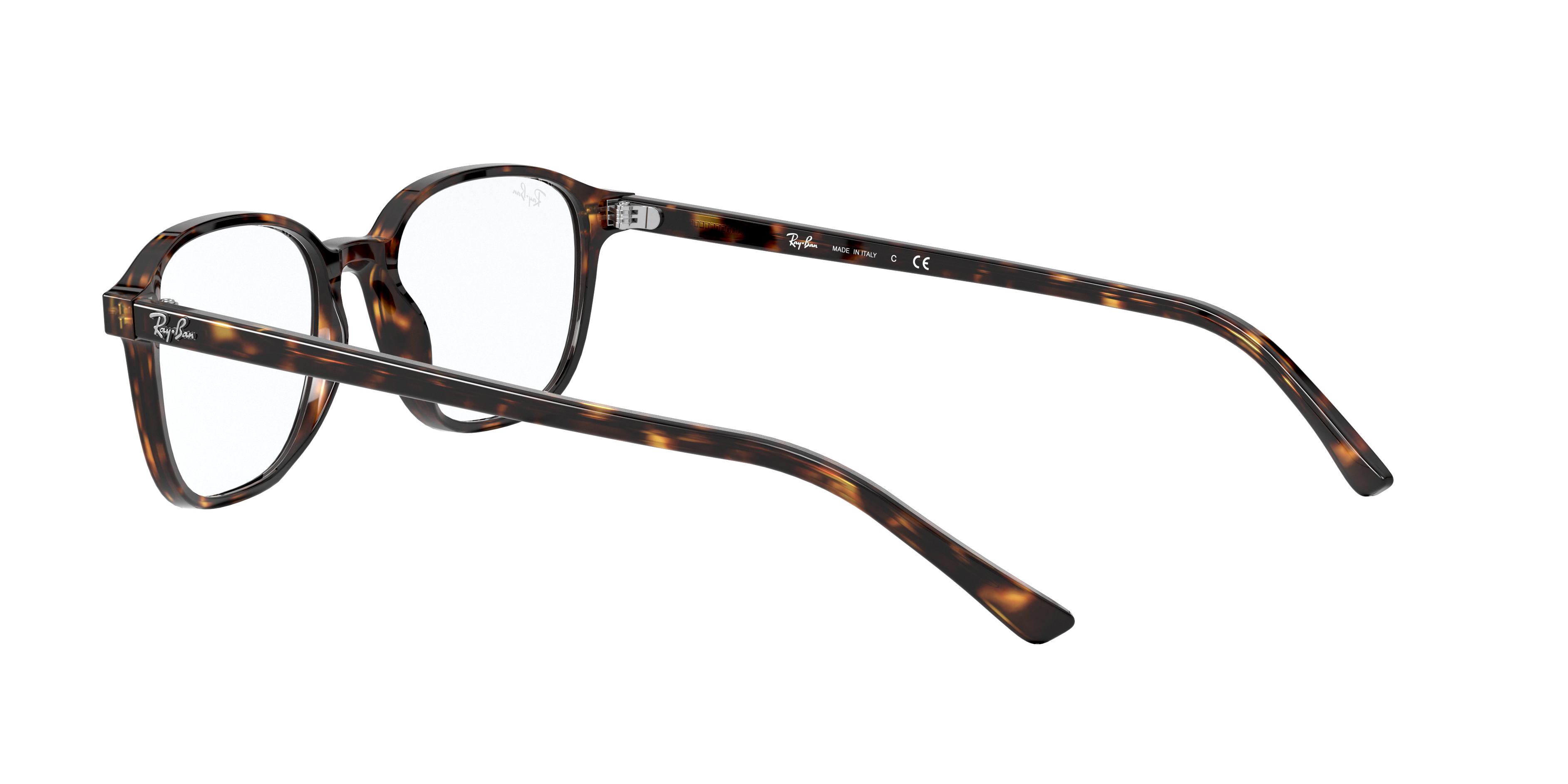 Ray-Ban | 0RX5393 (Leonard)