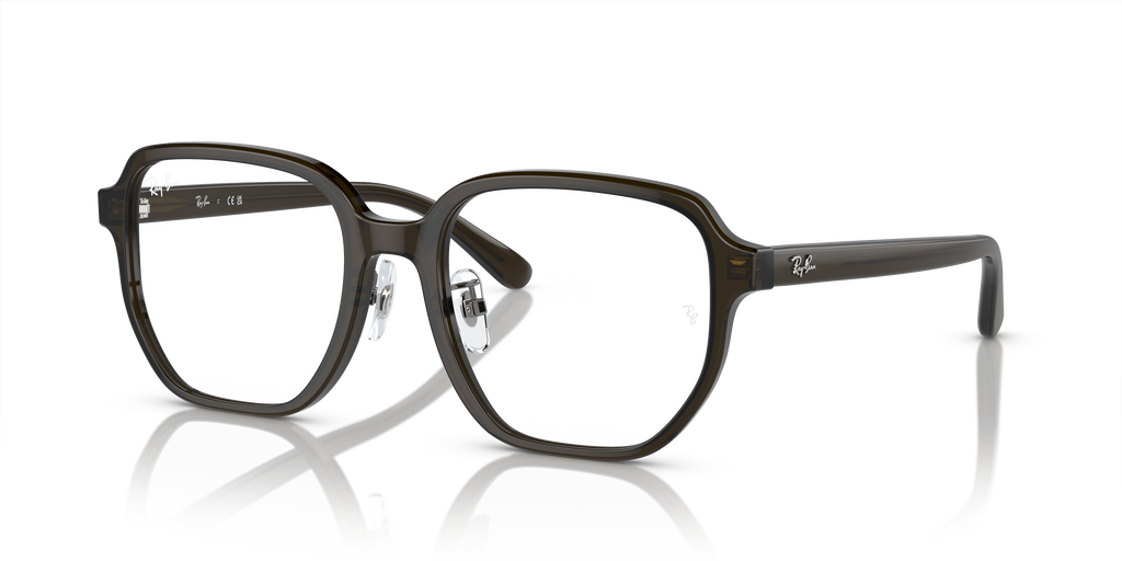 Ray-Ban | 0RX5424D (0RX5424D)
