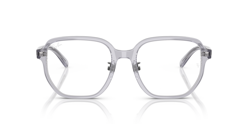 Ray-Ban | 0RX5424D (0RX5424D)