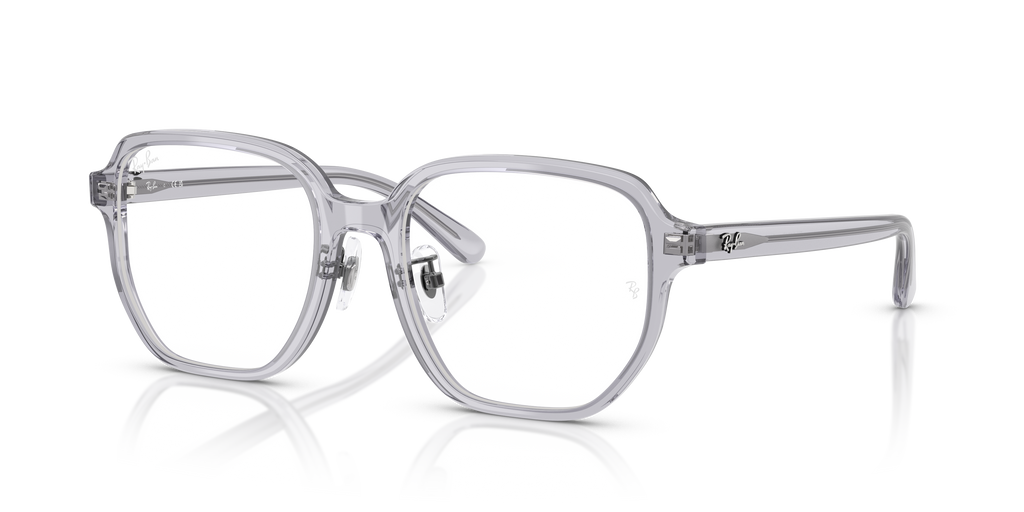 Ray-Ban | 0RX5424D (0RX5424D)