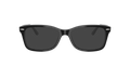 Ray-Ban | 0RX5428 (0RX5428)