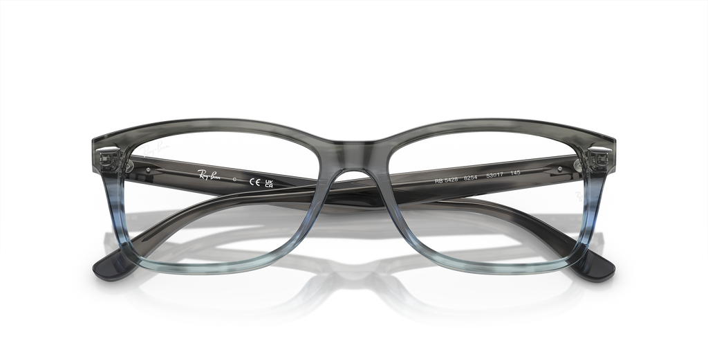 Ray-Ban | 0RX5428 (0RX5428)
