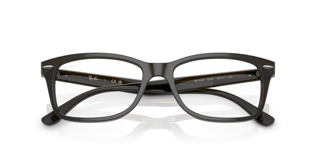 Ray-Ban | 0RX5428 (0RX5428)
