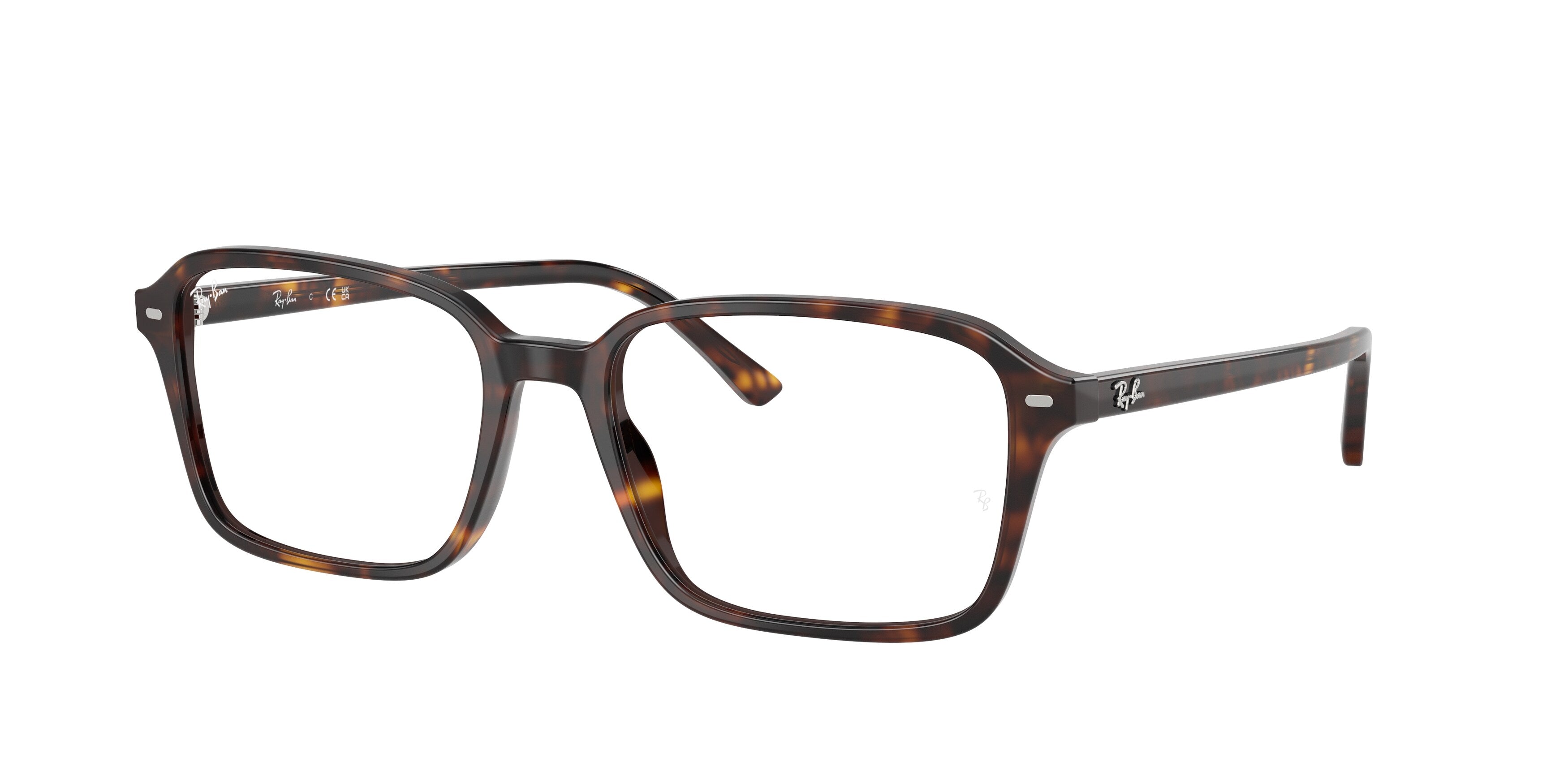 Ray-Ban | 0RX5431 (Raimond)
