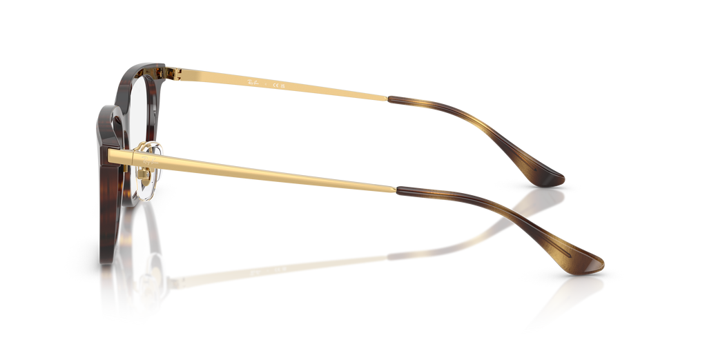 Ray-Ban | 0RX5442D (0RX5442D)