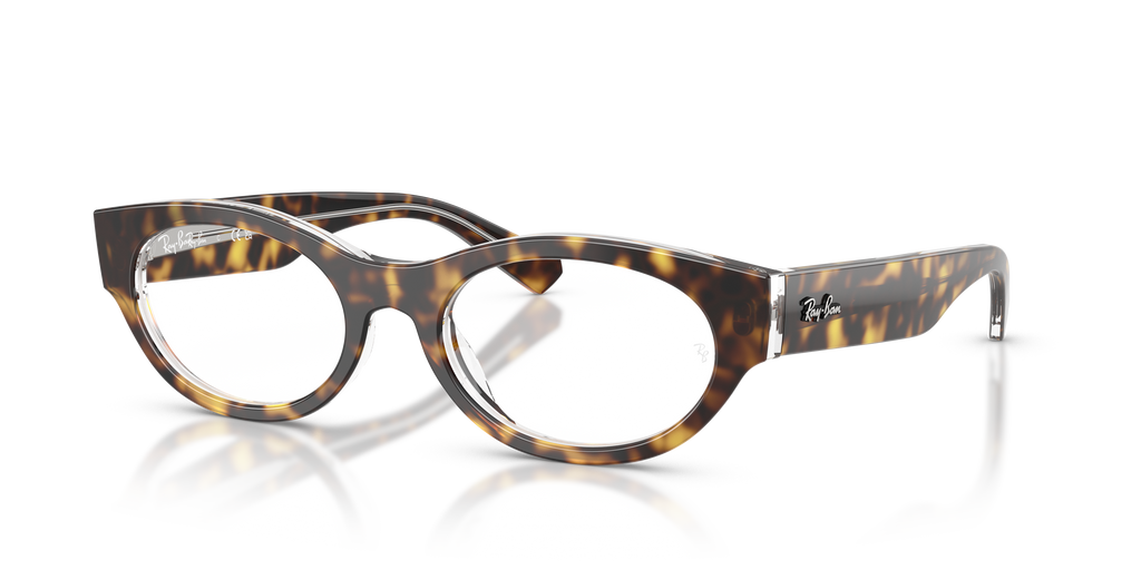 Ray-Ban | 0RX5447 (0RX5447)