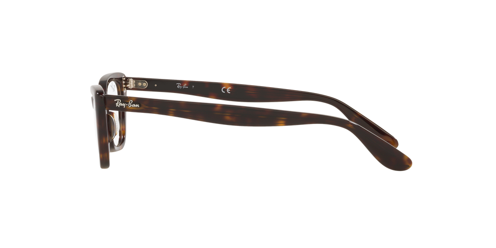 Ray-Ban | 0RX5499 (Lady Burbank)
