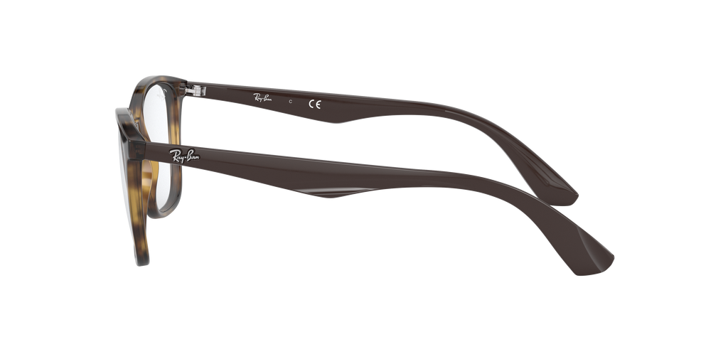 Ray-Ban | 0RX7066 (0RX7066)