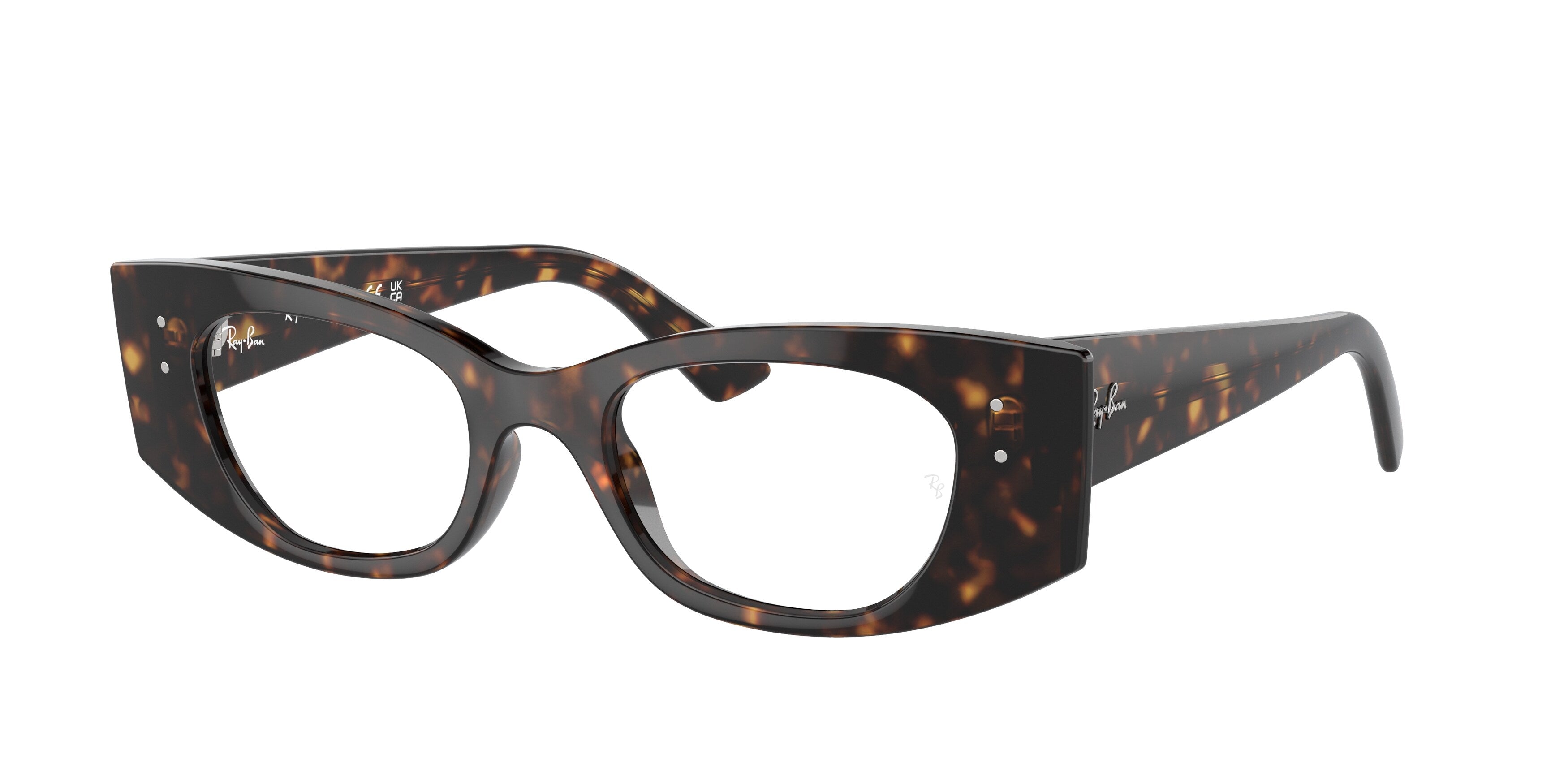 Ray-Ban | 0RX7327 (Kat)