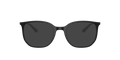 Ray-Ban | 0RX7397 (0RX7397)