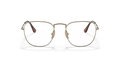 Ray-Ban | 0RX8157V (Frank)