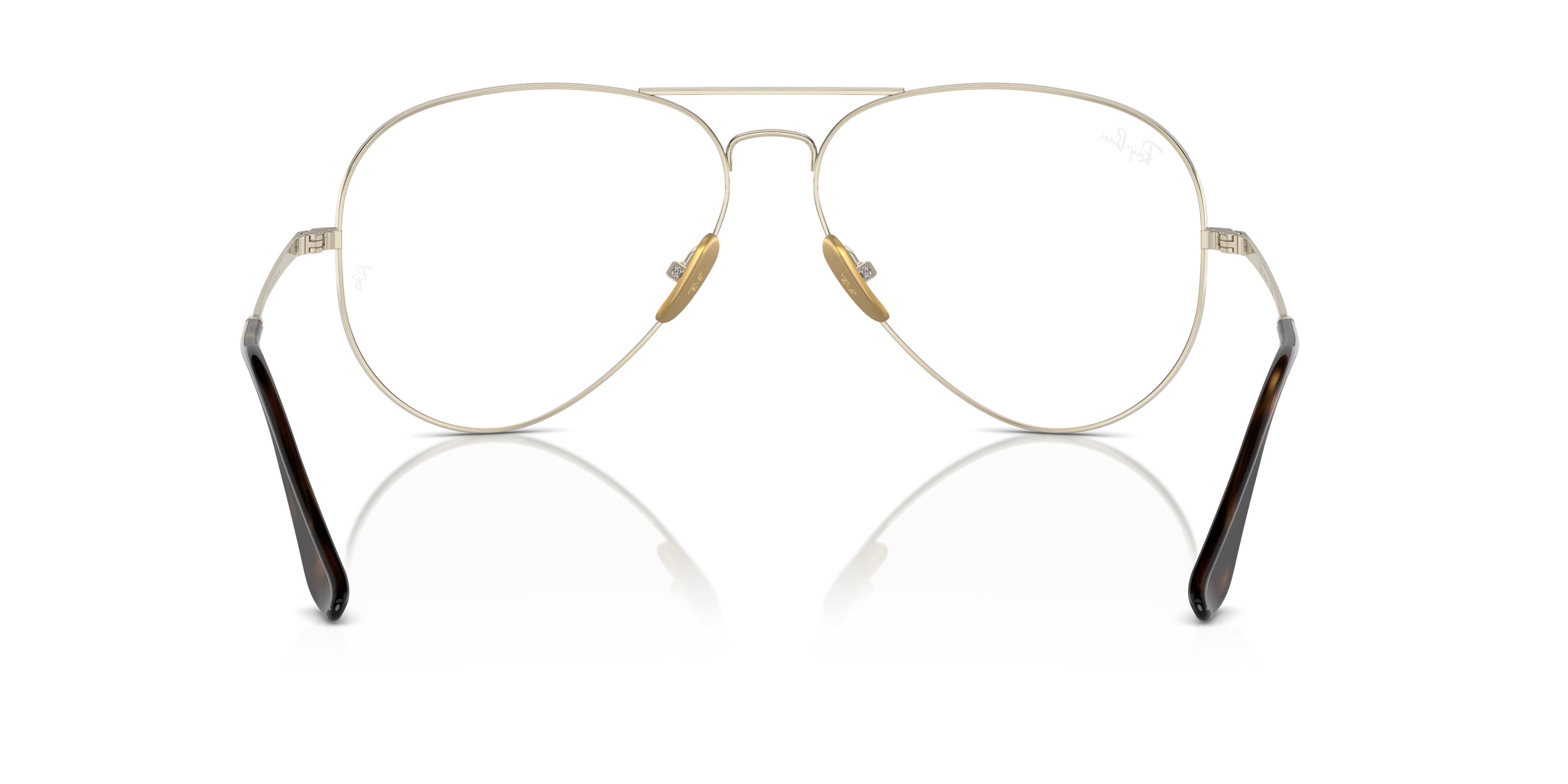 Ray-Ban | 0RX8789 (Aviator Titanium)
